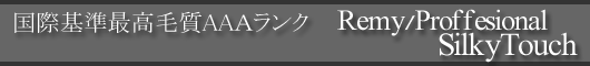�v���t�F�b�V���i���V���L�[�w�A