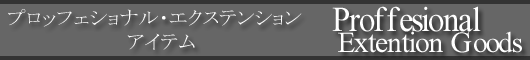 �G�N�X�e�O�b�Y