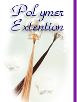 �|���}�[�G�N�X�e���V����