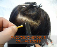 �P���`�����A�C�����ŗn�����܂�