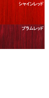 カラーエクステ メッシュ グループＥ