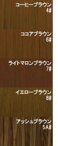 カラーエクステ メッシュ グループＧ