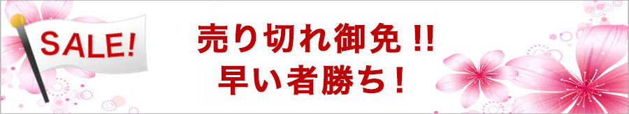 特別セール開催中!!セール会場入り口はこちらです。
