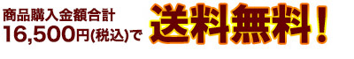 送料無料