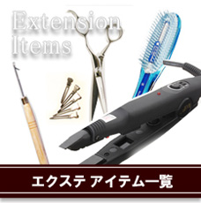 チップリング　プルニードル　カポなどの　エクステアイテム　通販ページヘ