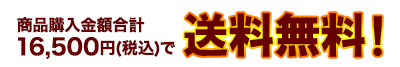商品購入金額合計15,000円（税別）以上で送料無料！