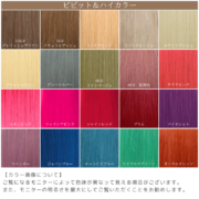 エクステ 束毛 人毛100% 編み込み用 エクステ 編み込み 人毛100% 三つ編み 全10色 60cm 1束10g 毛束